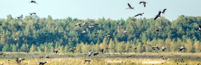 Zuvintas Biosphere Reserve