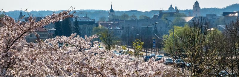 Vilnius