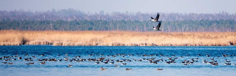 Zuvintas biosphere reserve